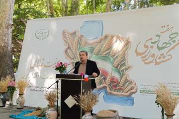 رییس سازمان